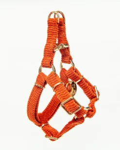 NICE DIGS Cord Dog Harness In Rust