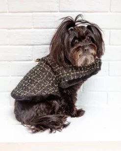 HELLO DOGGIE Chantel Tweed Dog Coat In Black (FINAL SALE)