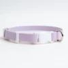 DOG & CO. COLLECTION A Walk In The Park Dog Collar In Lilac Or Black