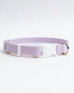 DOG & CO. COLLECTION A Walk In The Park Dog Collar In Lilac Or Black