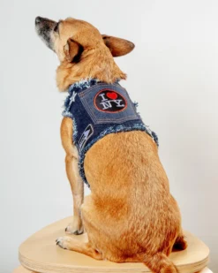 HEADS OR TAILS PUP NYC Denim Dog Harness (Dog & Co. Exclusive)