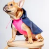 DOG & CO. COLLECTION Action Jacket Pull-On Raincoat In Navy + Neon Pink (Made In NYC)