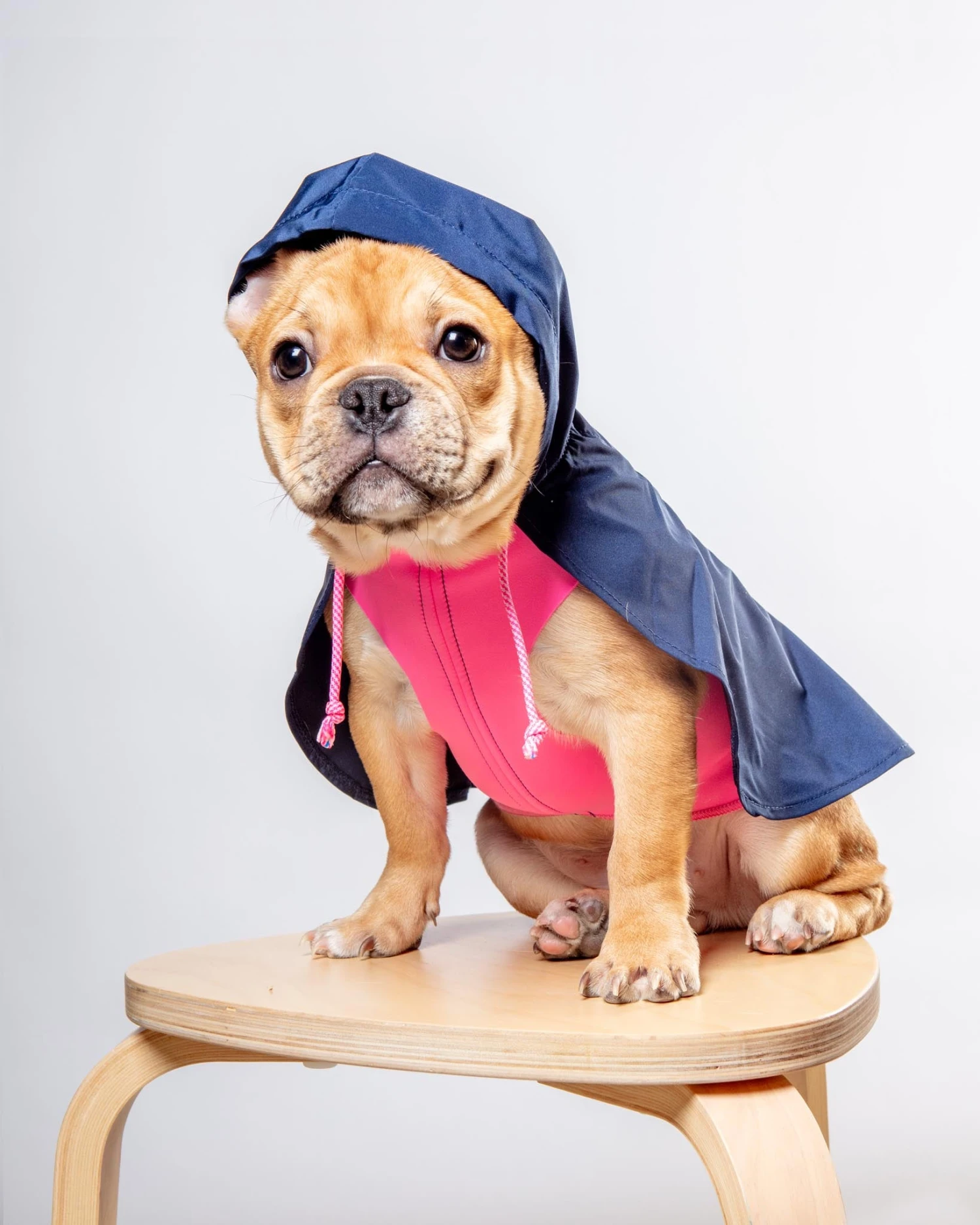 DOG & CO. COLLECTION Action Jacket Pull-On Raincoat In Navy + Neon Pink (Made In NYC) - Image 2