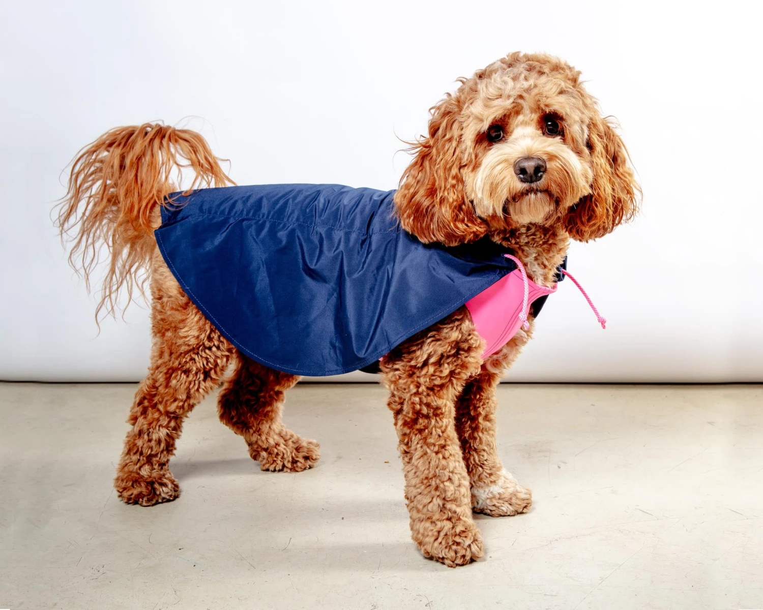 DOG & CO. COLLECTION Action Jacket Pull-On Raincoat In Navy + Neon Pink (Made In NYC) - Image 5