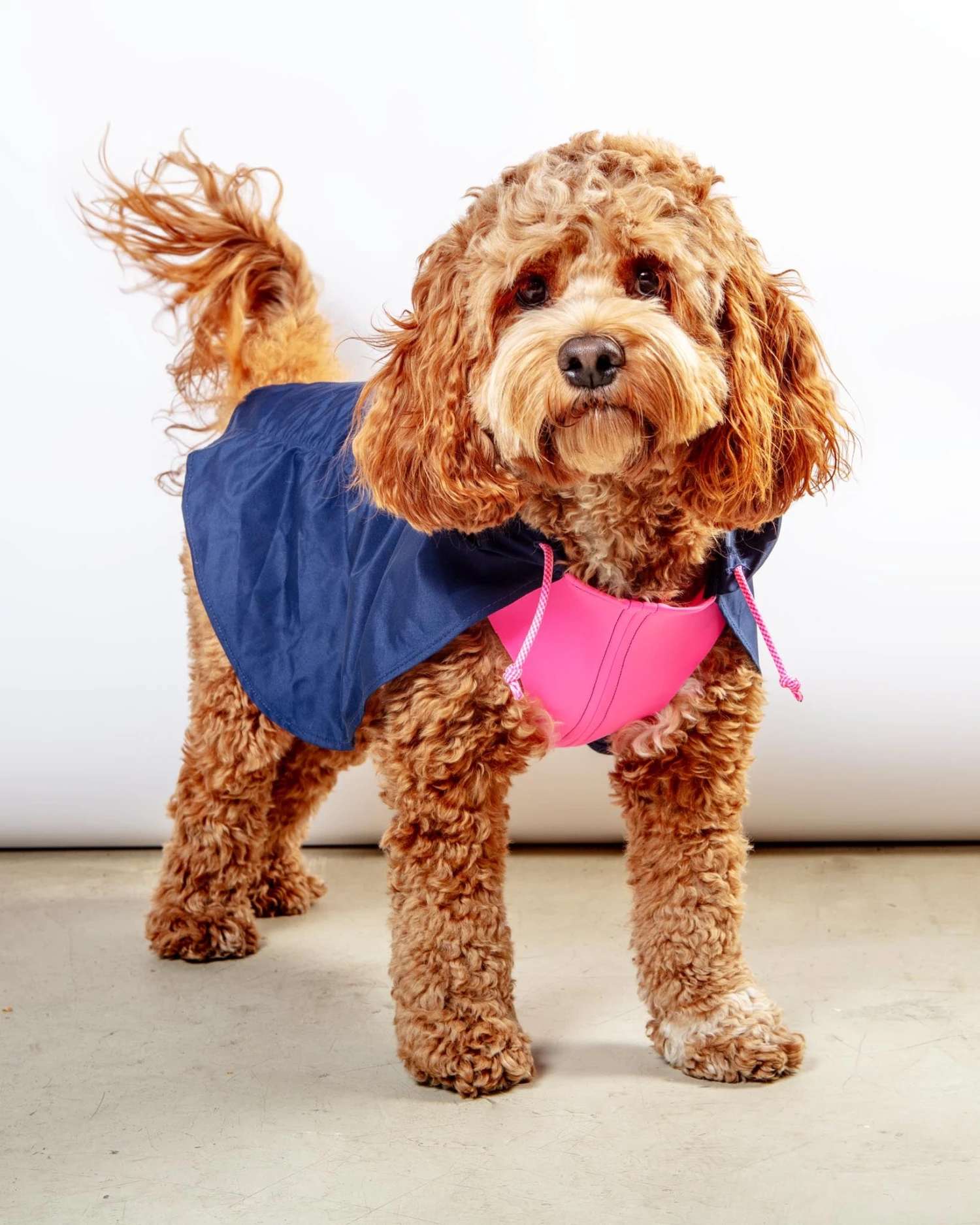 DOG & CO. COLLECTION Action Jacket Pull-On Raincoat In Navy + Neon Pink (Made In NYC) - Image 4