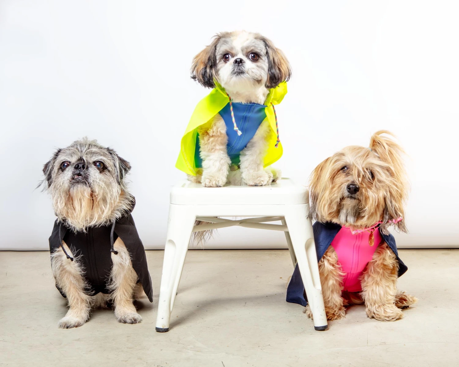 DOG & CO. COLLECTION Action Jacket Pull-On Raincoat In Navy + Neon Pink (Made In NYC) - Image 9