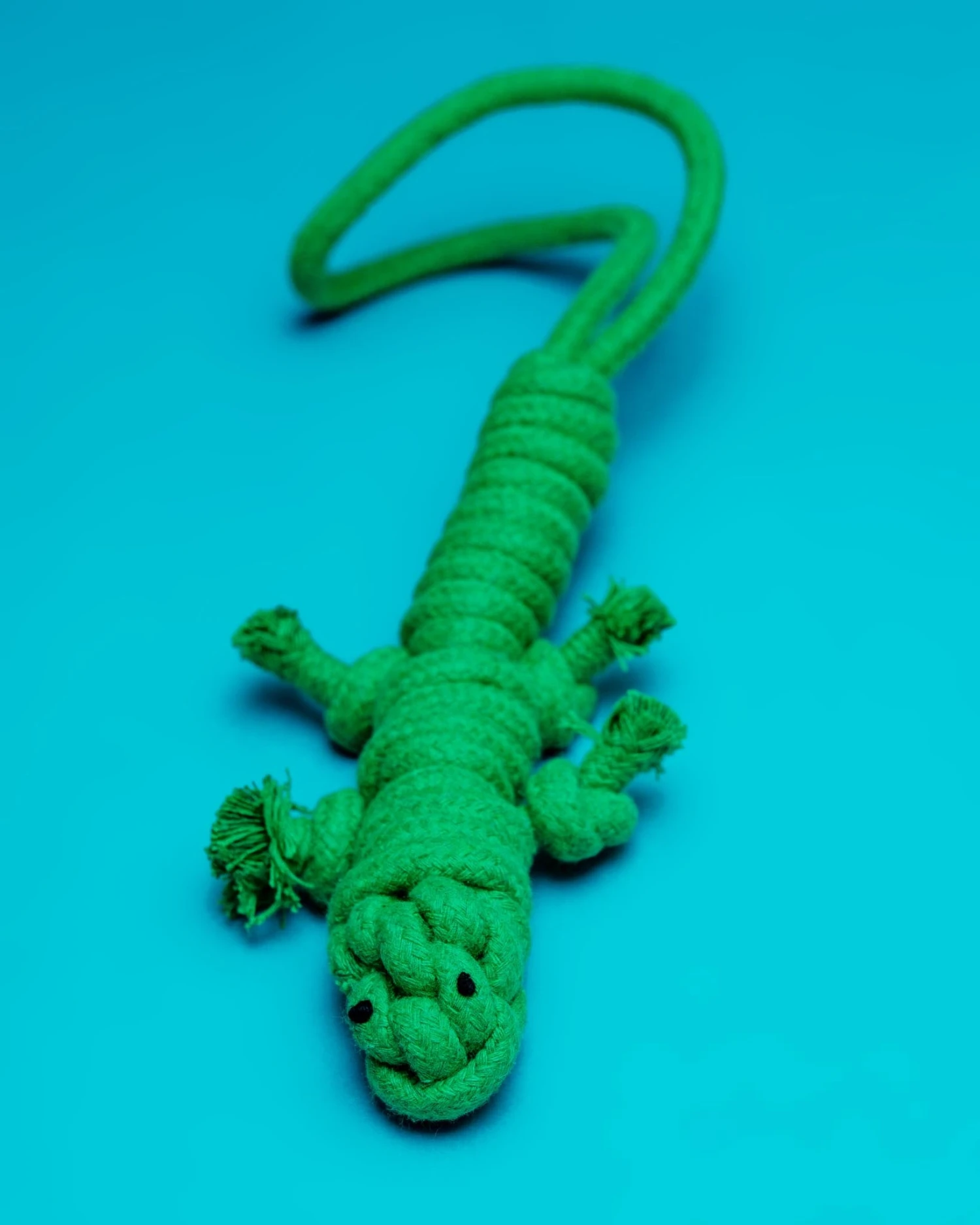 KNOTTY PAWS Homemade Eco-Friendly Green Lizard Dog Rope Toy - Image 2