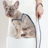 DOG & CO. Denim Step-In Adjustable Dog Harness (Made In The USA)