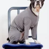 DOG & CO. COLLECTION Stretch Fleece Onesie In Charcoal (Made In The USA, DOG & CO. + GOLD PAW Exclusive!)