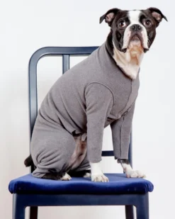 DOG & CO. COLLECTION Stretch Fleece Onesie In Charcoal (Made In The USA, DOG & CO. + GOLD PAW Exclusive!)