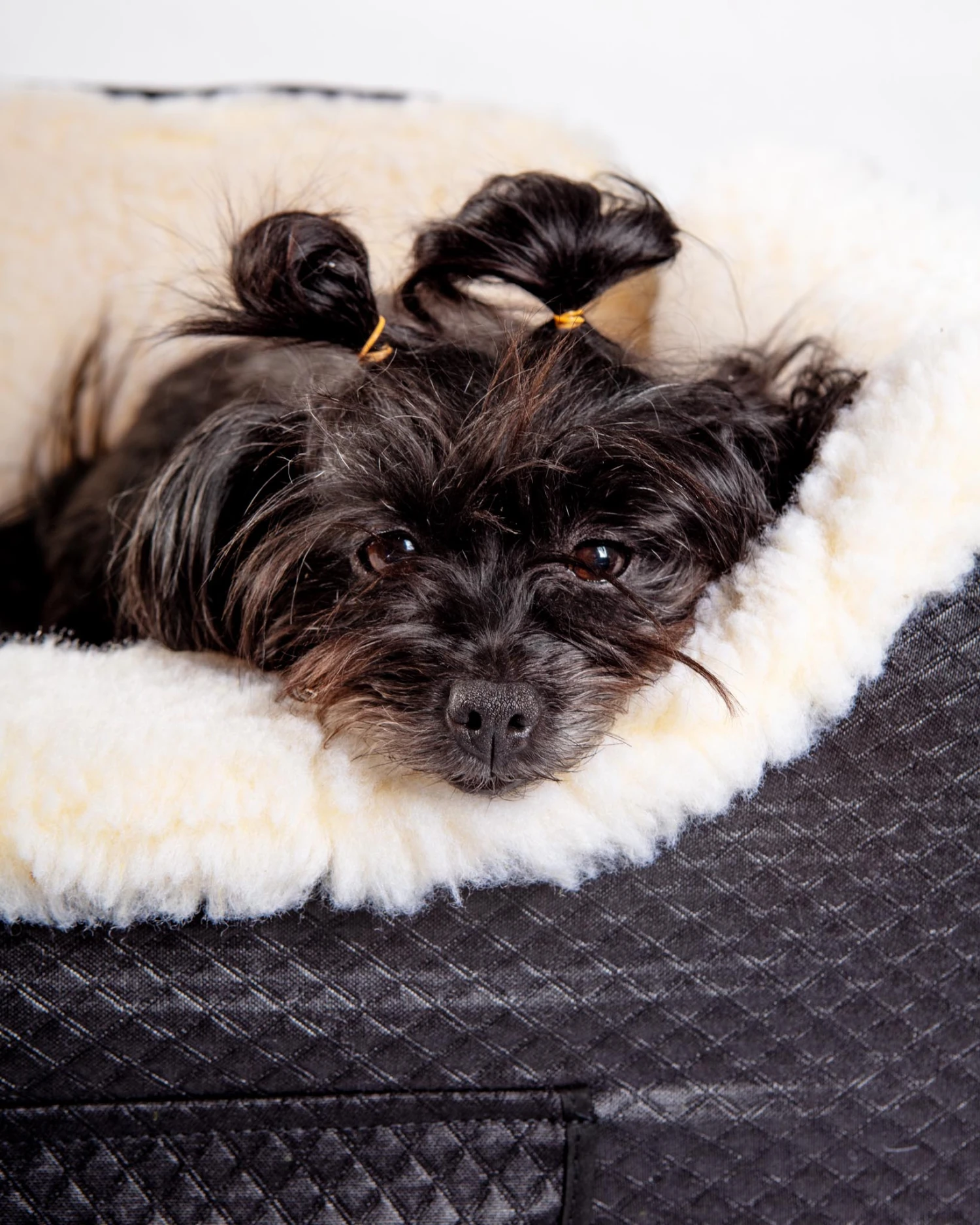 SNOOZER Lookout Dog Car Seat With Storage Drawer (Direct-Ship) (Made In The USA) - Image 13