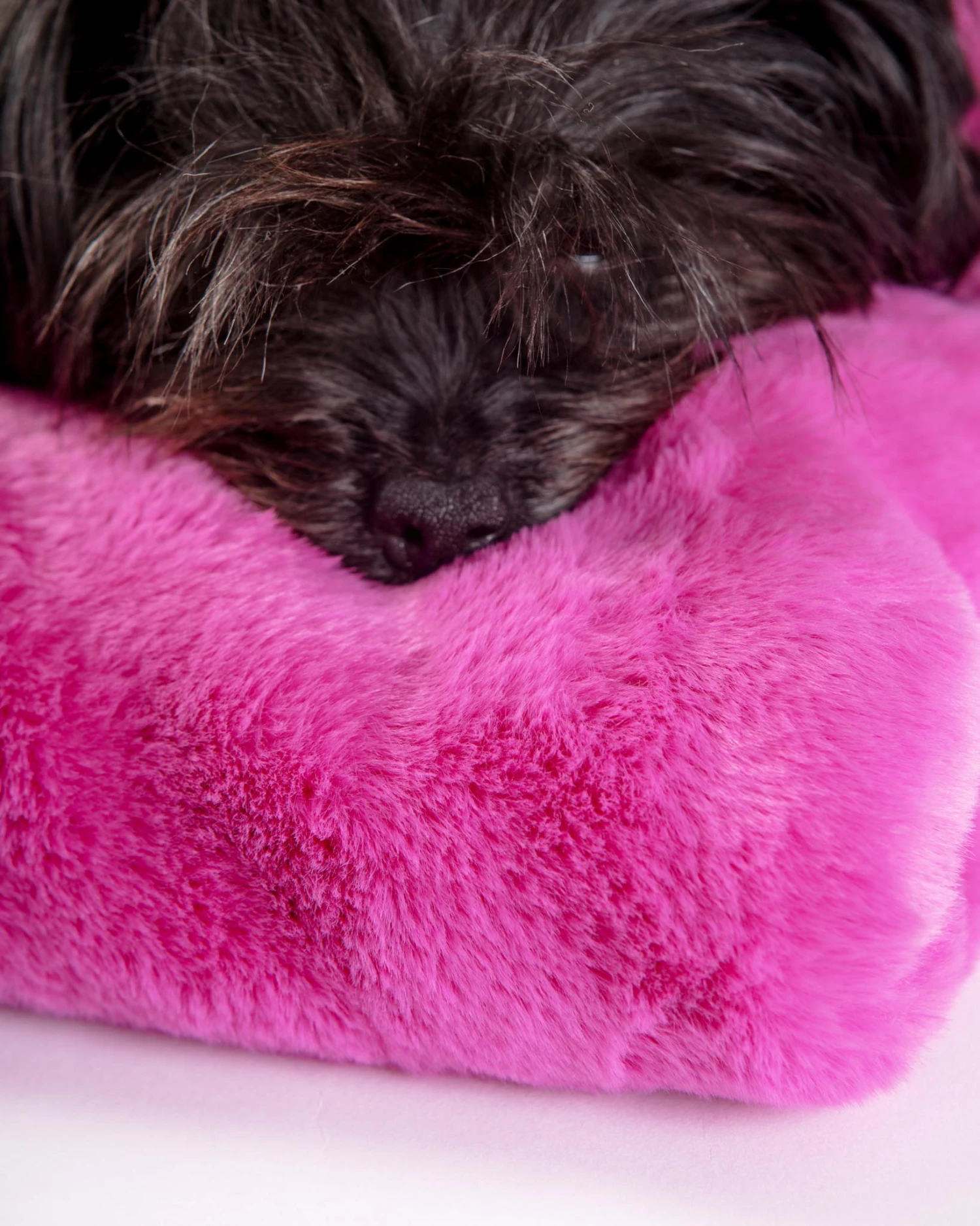 APPARIS Faux Fur Brady Dog Blanket - Image 2