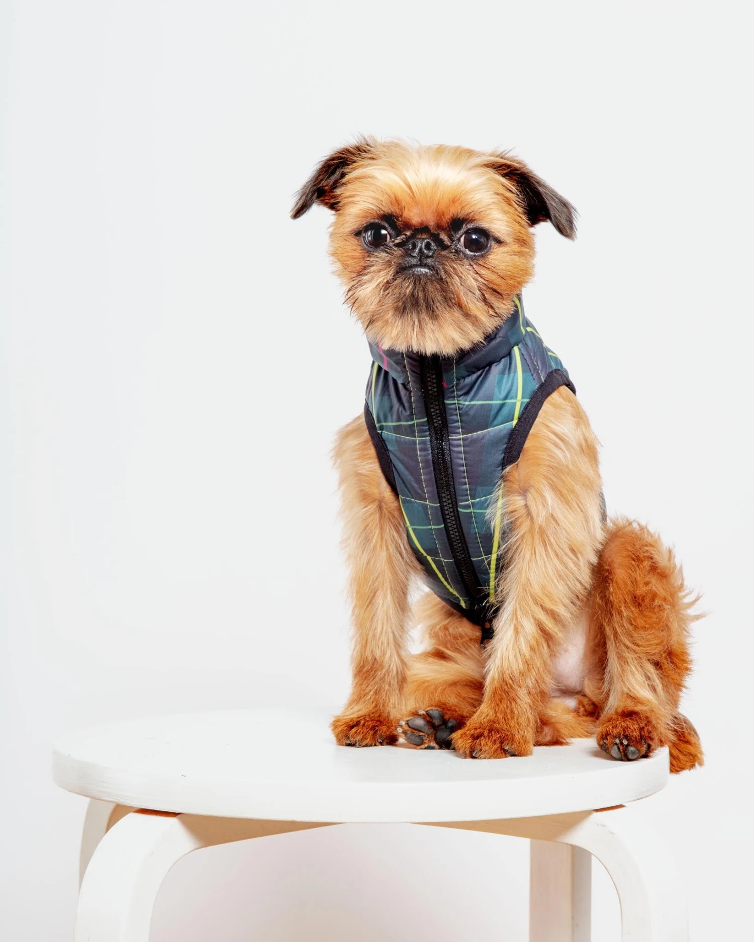AIRYVEST For DOG & CO. Reversible AiryVest In Hunter Plaid + Neon Yellow (DOG & CO. Exclusive)