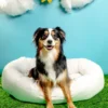 BOWSER'S PET PRODUCTS Donut Dog Bed In Marshmallow Micro-velvet (Direct-Ship)