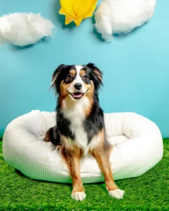 BOWSER'S PET PRODUCTS Donut Dog Bed In Marshmallow Micro-velvet (Direct-Ship)