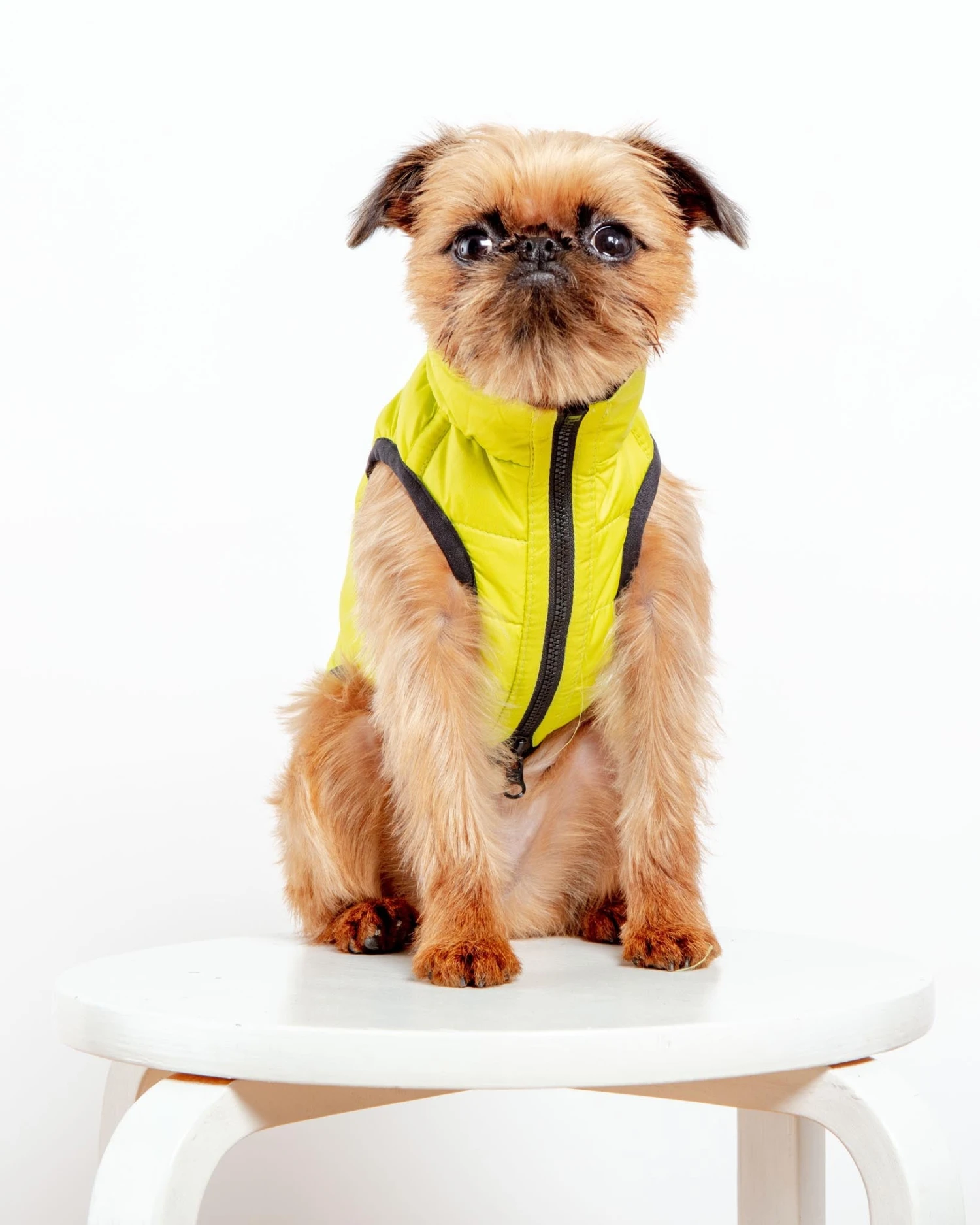 AIRYVEST For DOG & CO. Reversible AiryVest In Hunter Plaid + Neon Yellow (DOG & CO. Exclusive) - Image 2