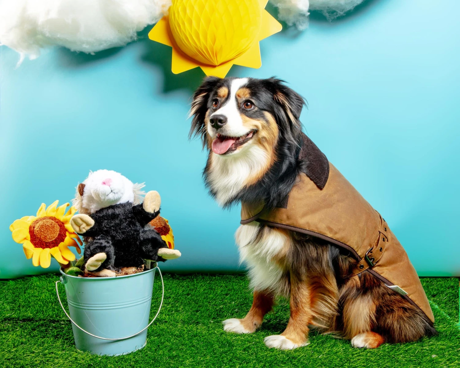 EARTHBOUND Wax Cotton All Weather Dog Jacket In Beige - Image 3