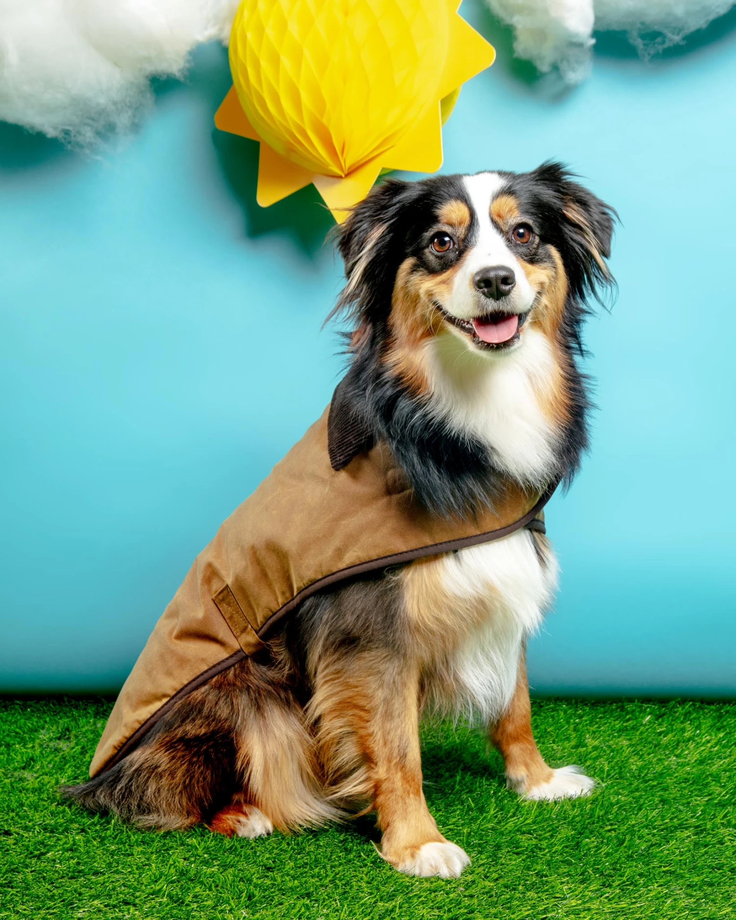 EARTHBOUND Wax Cotton All Weather Dog Jacket In Beige