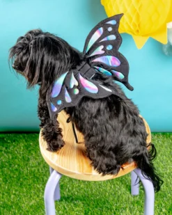 DOGO Adjustable Tie-On Butterfly Wings For Dogs