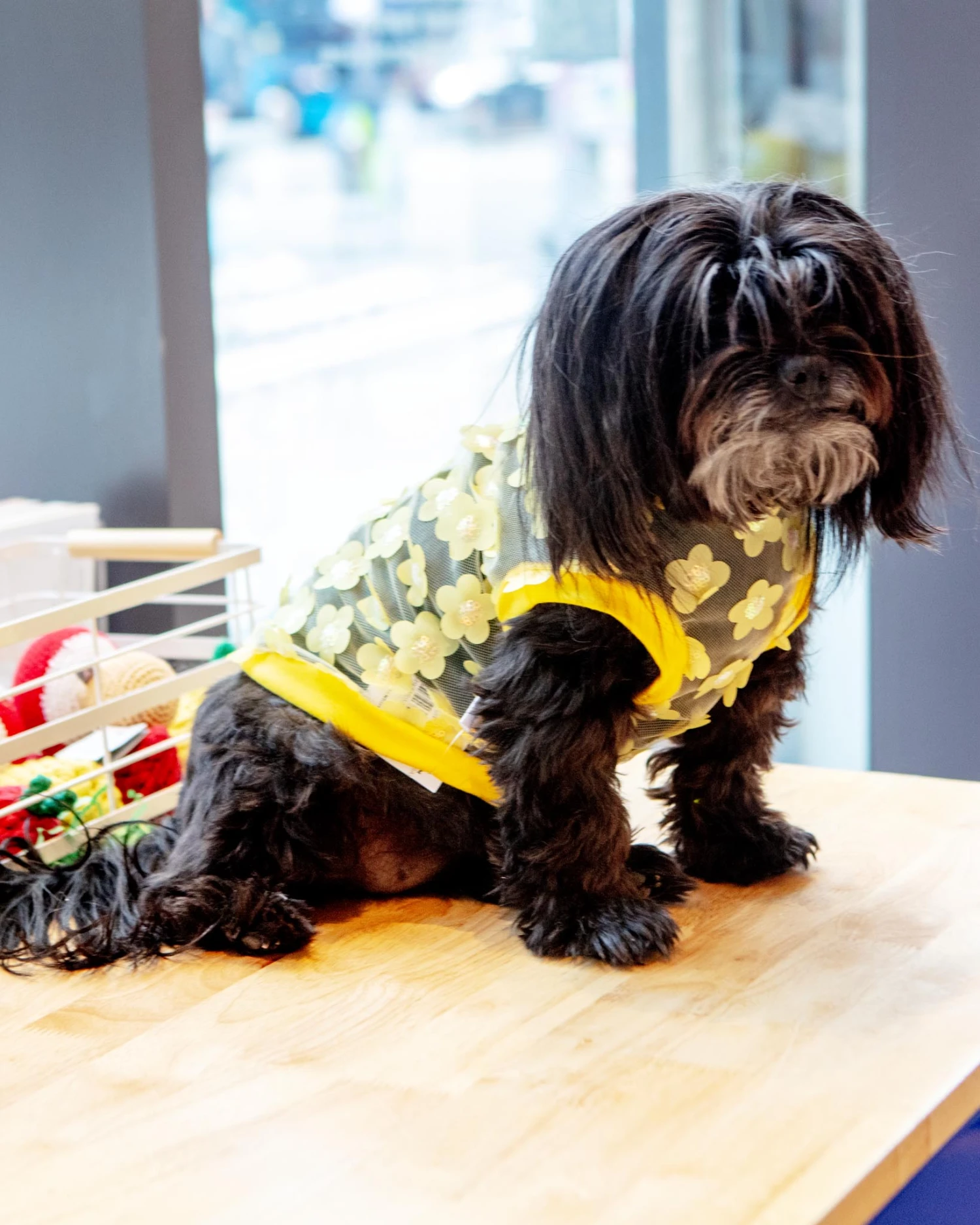 ICECREAMTREE STUDIO Flower Mesh Dog Shirt (Made In The USA) - Image 4