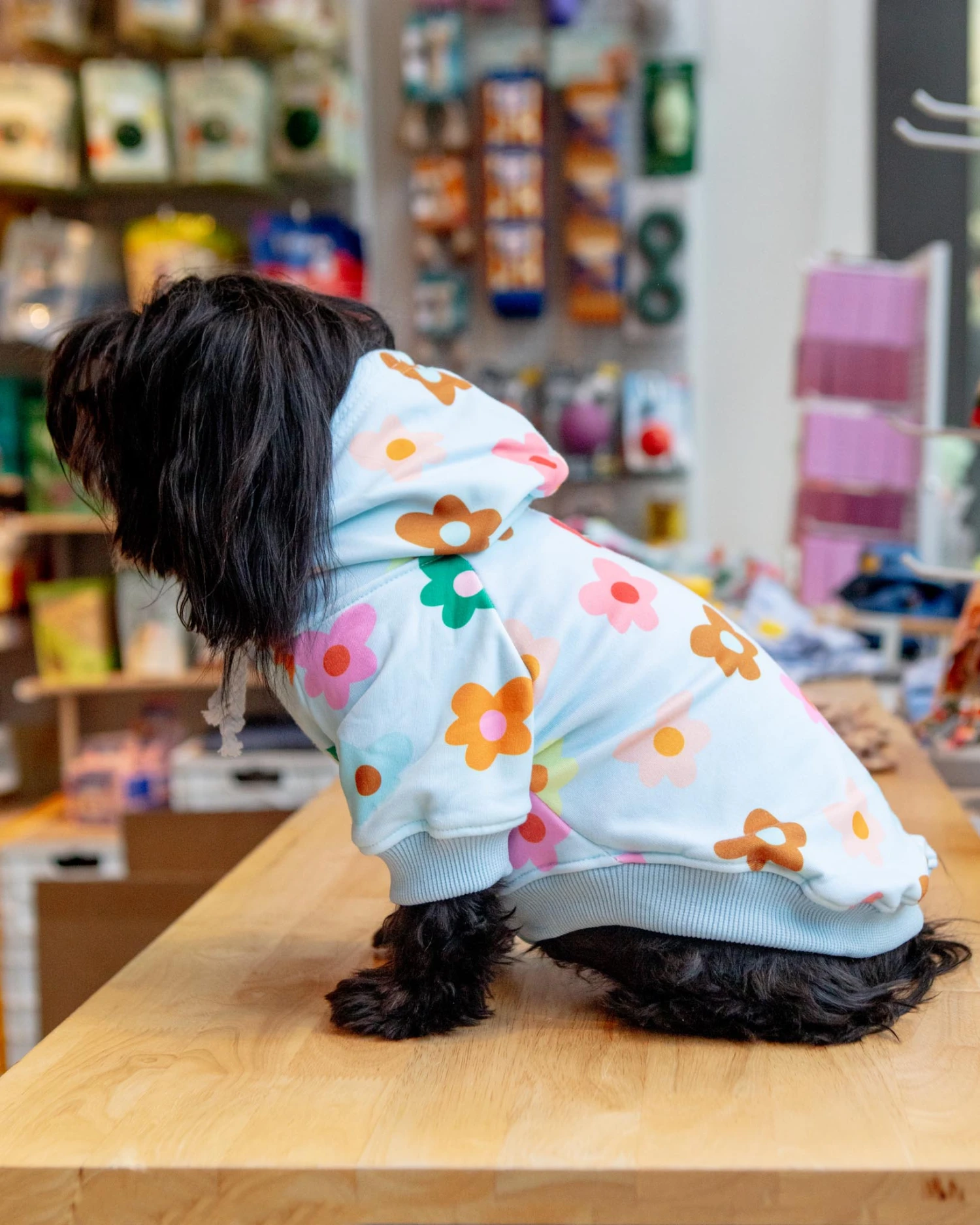 FRESH PAWZ Le Fleur Dog Hoodie - Image 2