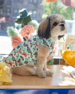 GOLD PAW Sun Shield Tee In Butterfly Print (Made In The USA)