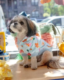 FRESH PAWZ Le Fleur Dog Hoodie