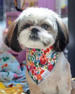 THE FOGGY DOG Rifle Paper Co. X Tfd Garden Party Spring Dog Bandana (Made In The USA)