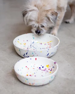 FELT + FAT Ceramic Pet Bowl In Confetti (Made In The USA)