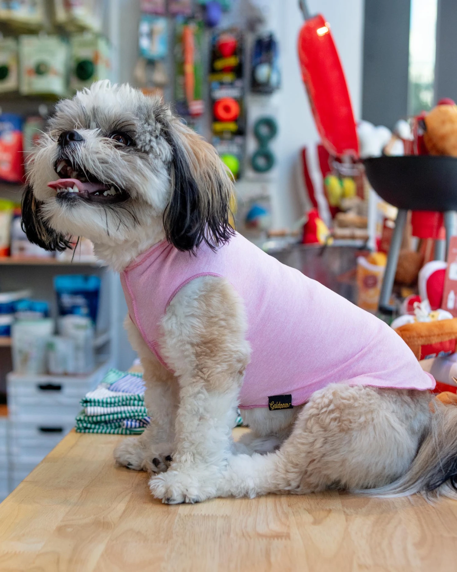 GOLD PAW Sun Shield Tee In Pink Lemonade (Made In The USA)