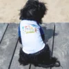 DOG & CO. The Hamptons Summer Dog T-Shirt In Surf Blue (Dog & Co. Exclusive)