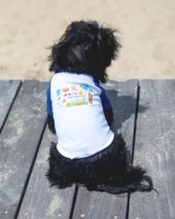 DOG & CO. The Hamptons Summer Dog T-Shirt In Surf Blue (Dog & Co. Exclusive)