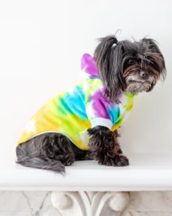 SHANNA'S TIE DYE Tie Dye Dog Hoodie In Rainbow