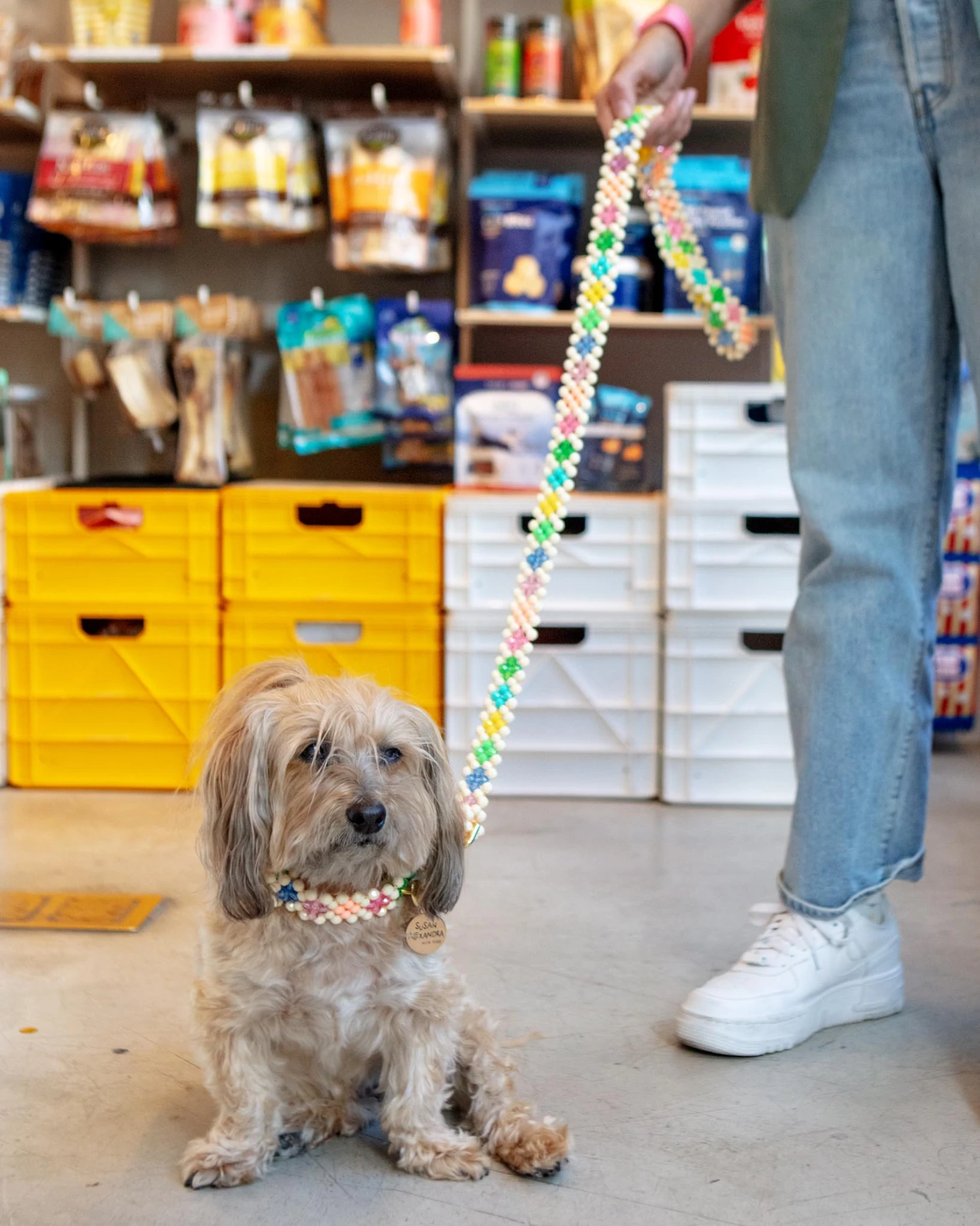 SUSAN ALEXANDRA Broadway Beaded Dog Leash In Matinee (Made In The USA) - Image 3