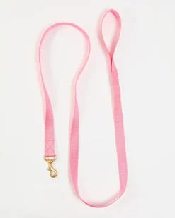 MAJOR DARLING Basic Nylon Dog Leash In Pink (Made In The USA)