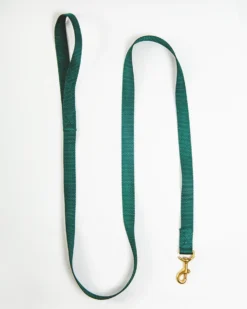 MAJOR DARLING Basic Nylon Dog Leash In Evergreen (Made In The USA)
