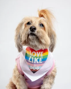 DOG & CO. Love Like A Dog Pride Bandana
