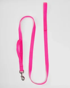 2 HOUNDS For DOG & CO. (Exclusive) Nylon Dog Leash In Neon Pink (Made In The USA)