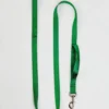 2 HOUNDS For DOG & CO. (Exclusive) Nylon Dog Leash In Hunter Green (Made In The USA)