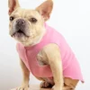GOLD PAW Stretch Fleece Pullover In Rose Pink