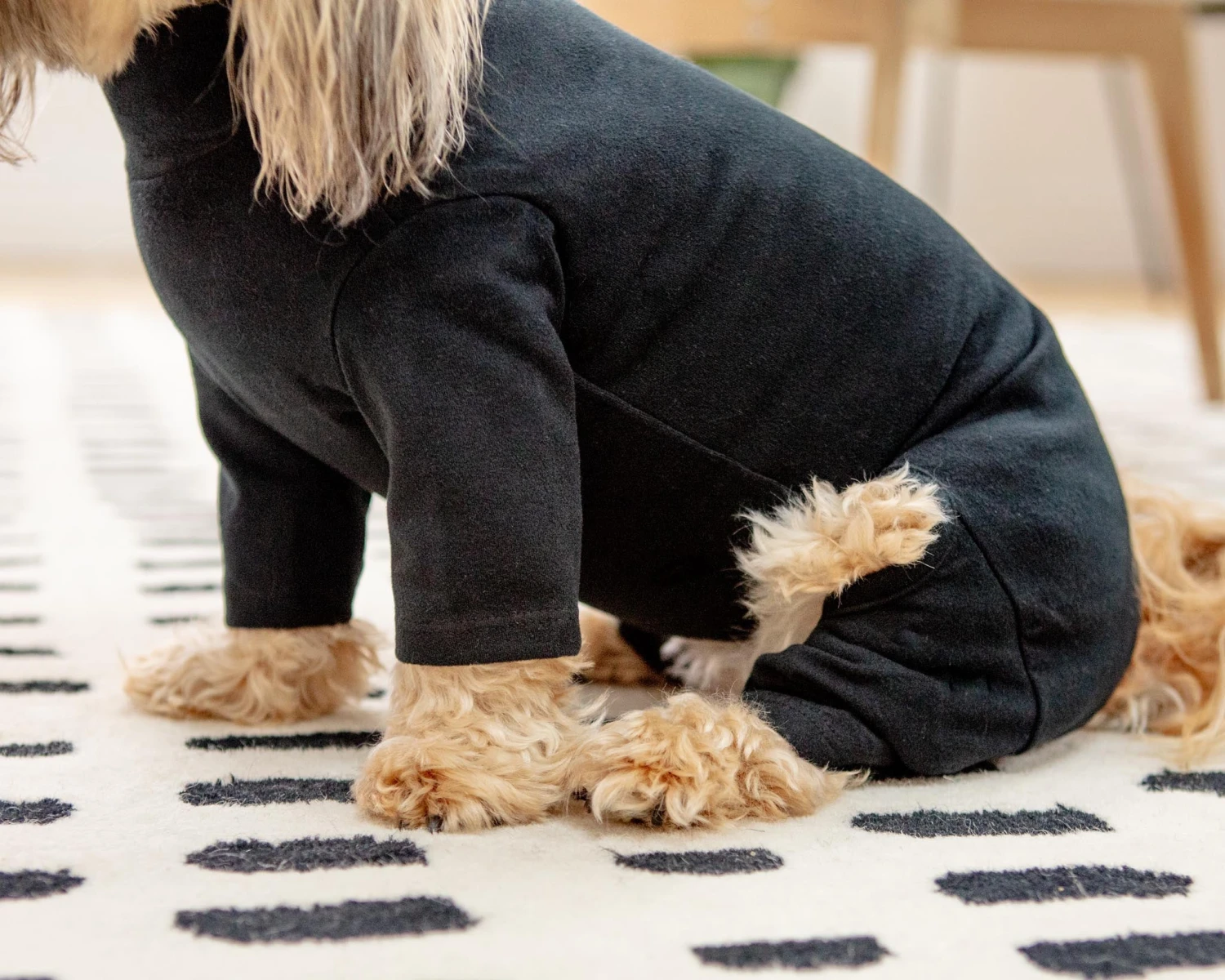 DENTISTS APPOINTMENT Body Warm Onesie In Black (Dog & Co. Exclusive) - Image 4