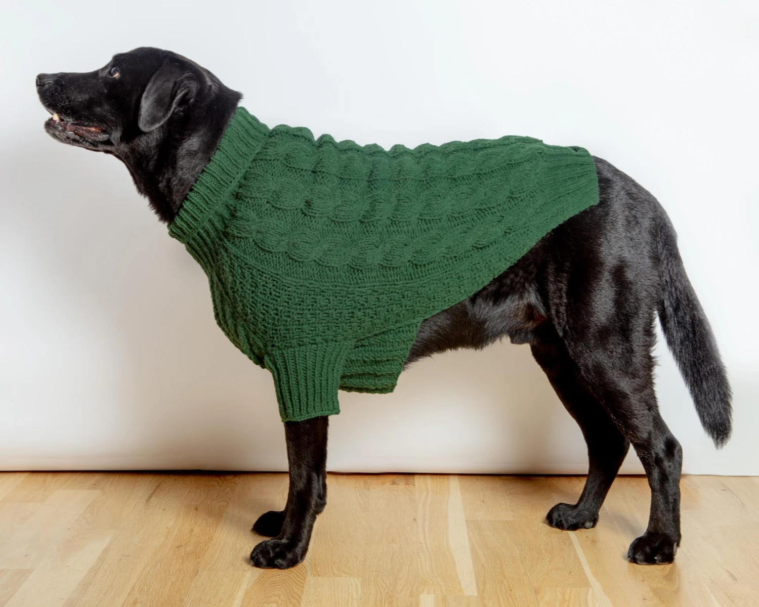 DOG & CO. COLLECTION Downtown Roll Neck Dog Sweater In Evergreen - Image 8