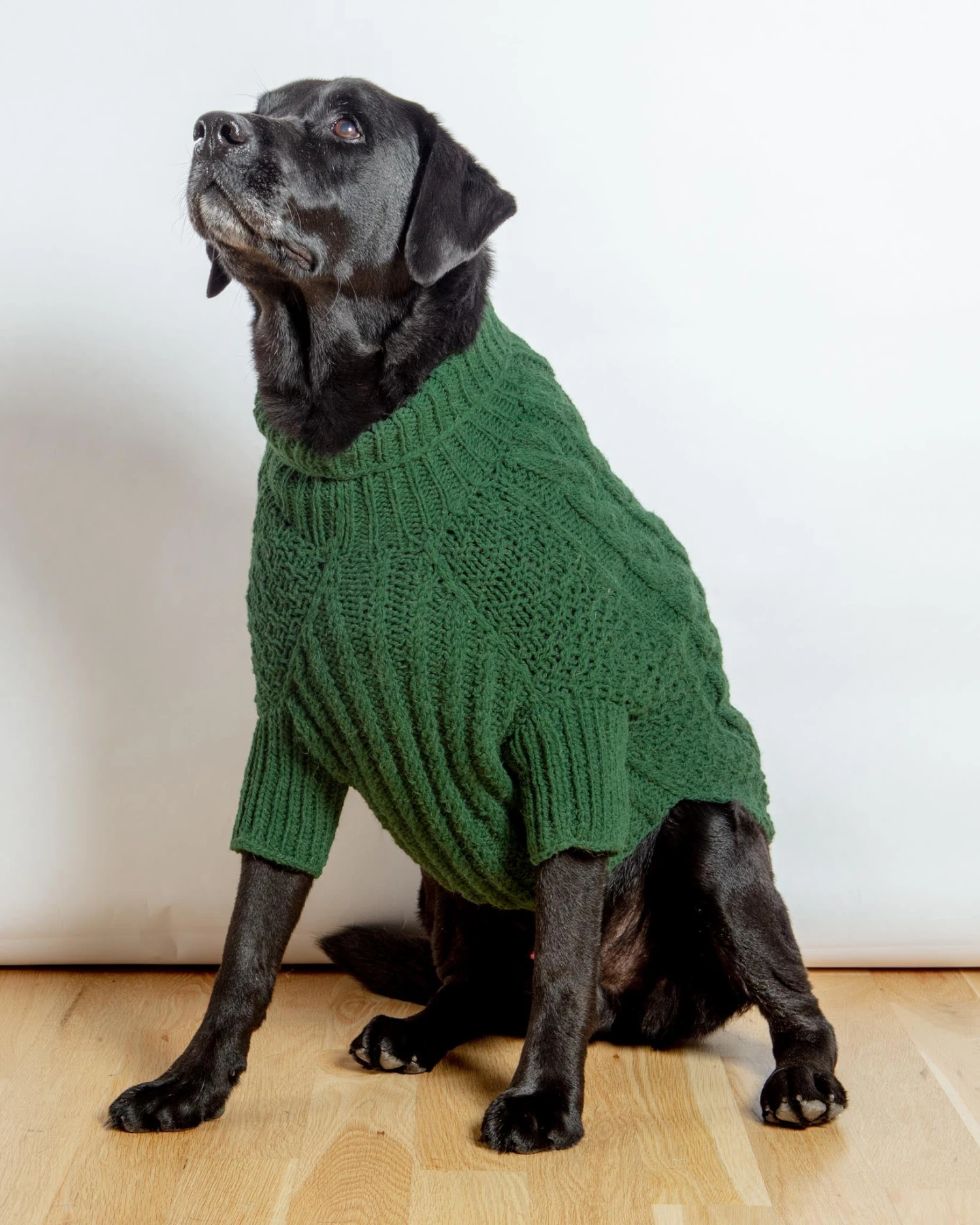 DOG & CO. COLLECTION Downtown Roll Neck Dog Sweater In Evergreen - Image 4