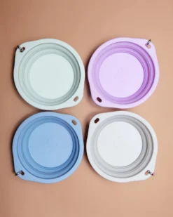 BARKWELL Collapsible Silicone Travel Dog Bowl