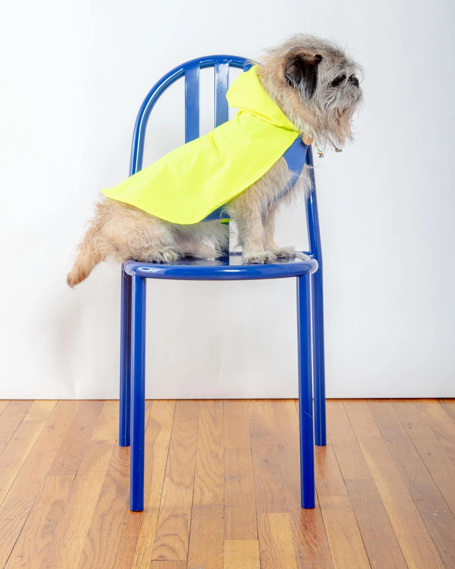 DOG & CO. COLLECTION Action Jacket Pull-On Raincoat In Safety Yellow + Blue (Made In NYC) - Image 6