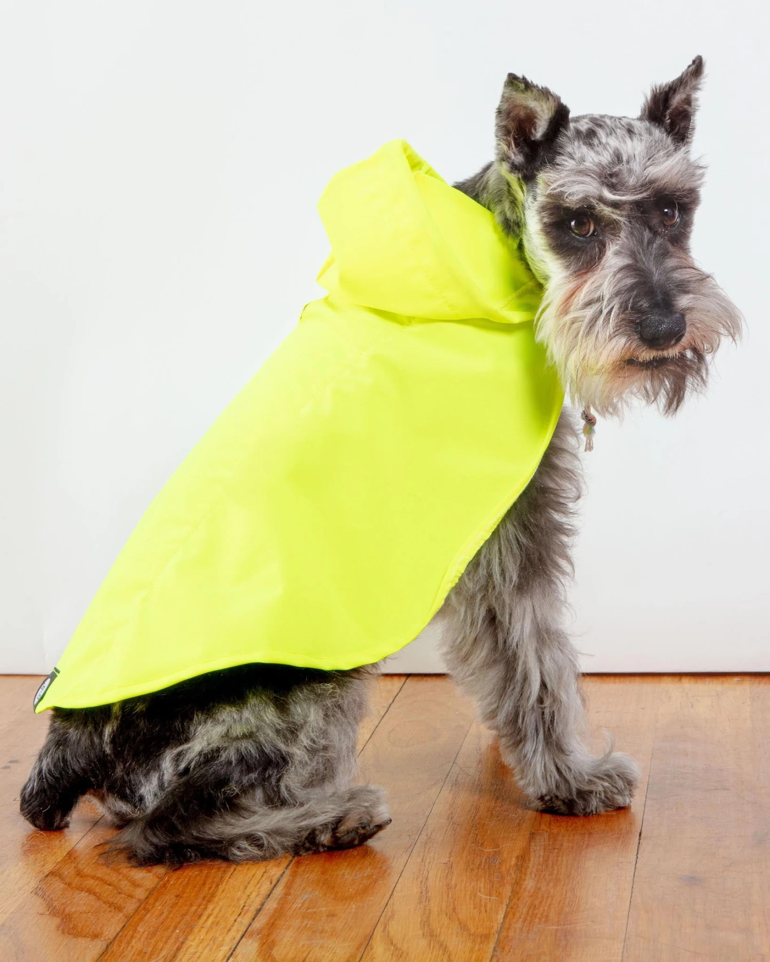 DOG & CO. COLLECTION Action Jacket Pull-On Raincoat In Safety Yellow + Blue (Made In NYC) - Image 7