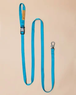 CHARLIE'S BACKYARD Adjustable Easy Dog Leash In Teal