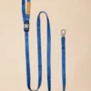 CHARLIE'S BACKYARD Adjustable Easy Dog Leash In Navy