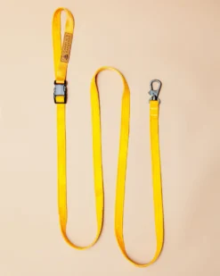 CHARLIE'S BACKYARD Adjustable Easy Dog Leash In Yellow