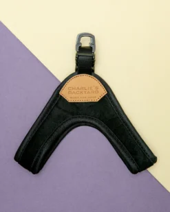 CHARLIE'S BACKYARD Buckle Up Easy Dog Harness In Black